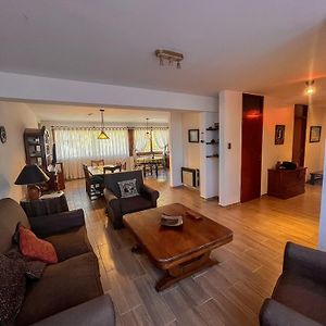 Algarrobo Amplio